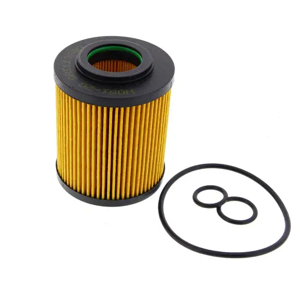 Zertifiziert Ashuki Ölfilter - H081-20