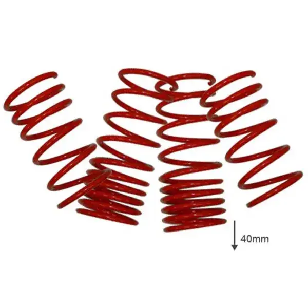 Jetzt Kaufen US-Racing Tieferlegungsfedern 40mm - LS-35135