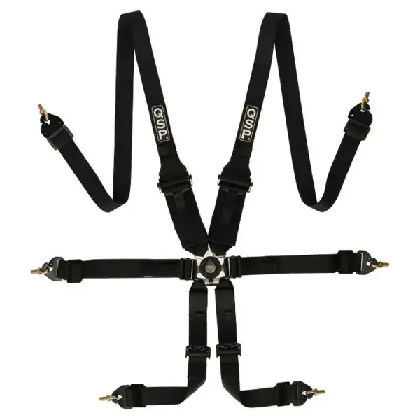 Sonderaktion QSP 6-Punkt-Gurt FHR Endurance FIA - Schwarz - QRH536-BLK