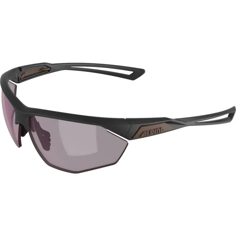 Neue Ware Alpina Nylos HR Brille - gun matt/pink