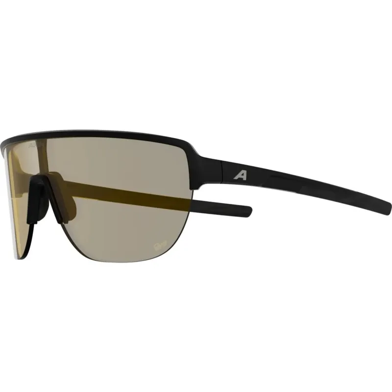 Top-Preis Alpina Ram 2.0 Q-Lite Brille - black matt/yellow