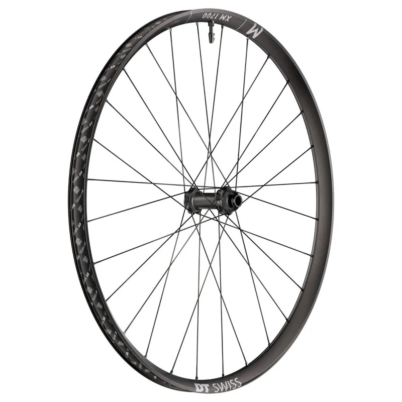 Günstig DT Swiss XM 1700 SPLINE Evo Vorderrad - 27.5" Clincher Centerlock / 6-Loch - 15x110mm Boost