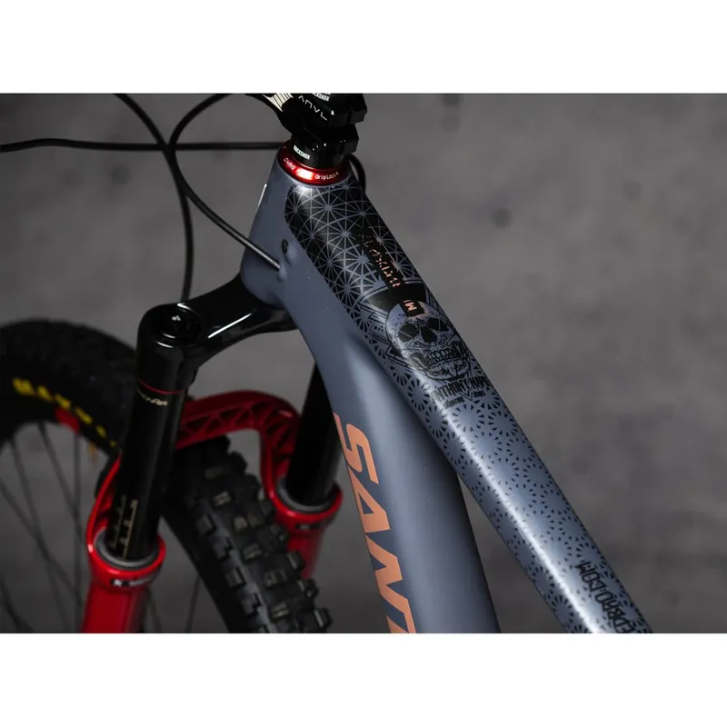 DYEDBRO Rahmenschutz Kit ANTHONY NAPO MTB SIGNATURE SERIES - schwarz matt Meistverkauft