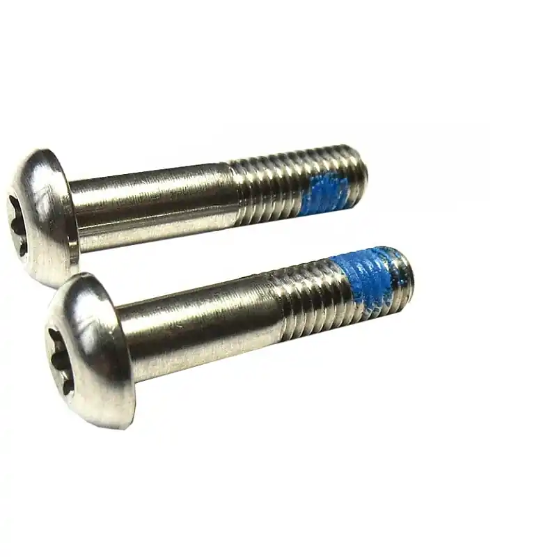 Nur Für Kurze Zeit SRAM Torx 25 Schrauben-Set für Flat Mount Bremssattel - 22mm - Titan - 00.5318.005.015