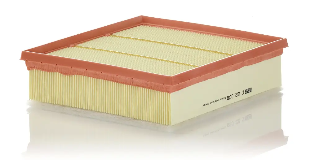 MANN-FILTER C 22 039 - Luftfilter Billig