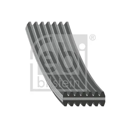 Expressversand FEBI BILSTEIN 34463 - Keilrippenriemen