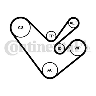 CONTINENTAL CTAM 6PK1555K4 - Keilrippenriemensatz Angebot