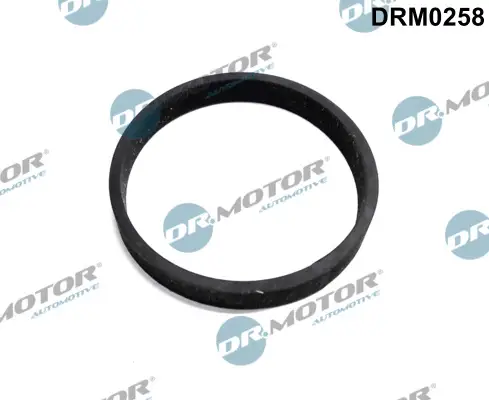 Knallerangebot Dr.Motor Automotive DRM0258 - Dichtung, Turbineneinlass (Lader)