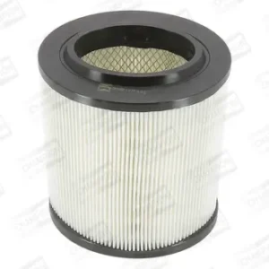 Nur Für Kurze Zeit CHAMPION CAF100450C - Luftfilter