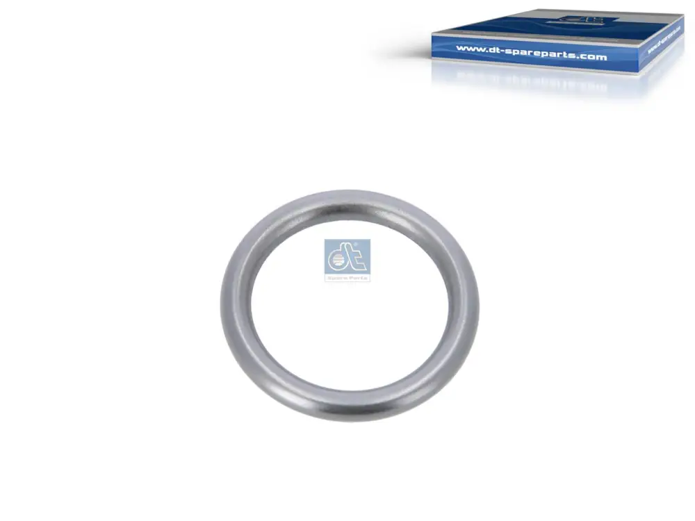 DT Spare Parts 4.20443 - Dichtring Kracherpreis