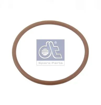 DT Spare Parts 7.13260 - Dichtring Nur Heute