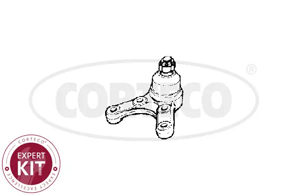 CORTECO 49395988 - Trag-/Führungsgelenk Top-Angebot