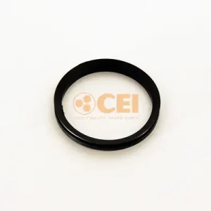 Sale C.E.I. 239.093 - Wellendichtring, Differential