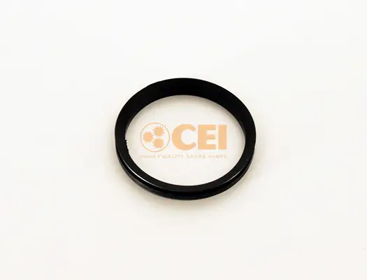 Sale C.E.I. 239.093 - Wellendichtring, Differential