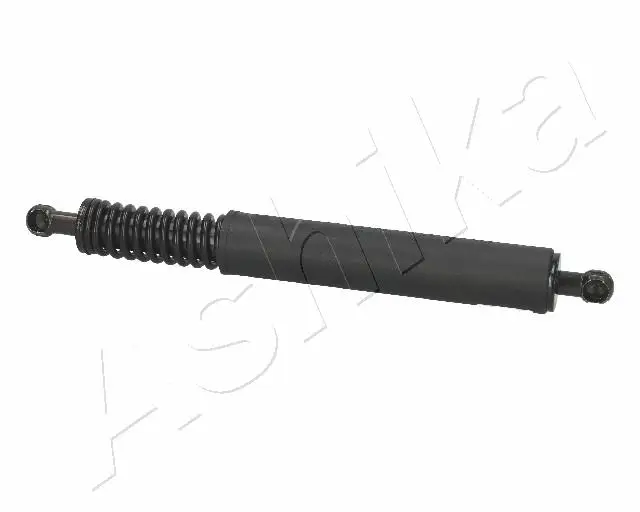 Echt ASHIKA ZSA09191 - Gasfeder, Motorhaube