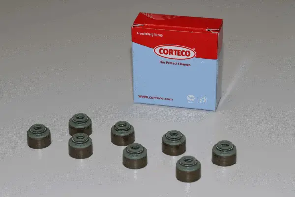 CORTECO 19036036 - Dichtungssatz, Ventilschaft Knallerangebot