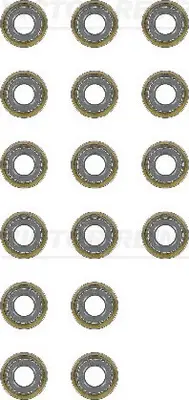 VICTOR REINZ 12-54047-01 - Dichtungssatz, Ventilschaft Expressversand