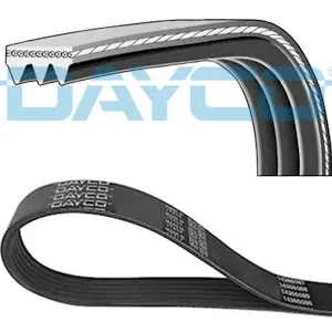 DAYCO 3PK576EE - Keilrippenriemen Bestpreis
