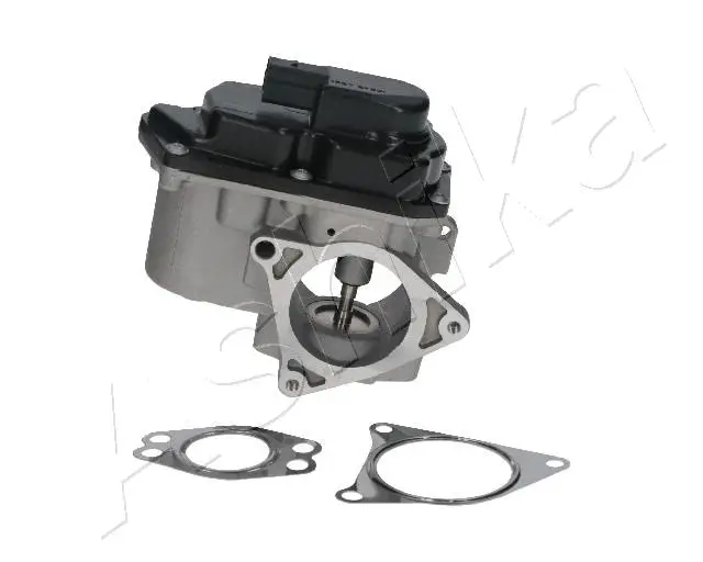 ASHIKA 150-00-0901 - AGR-Ventil Heißes Angebot