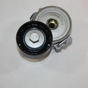 Jetzt Kaufen AUTOMEGA 160081310 - Spannarm, Keilrippenriemen