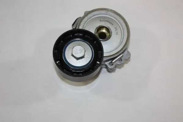 Jetzt Kaufen AUTOMEGA 160081310 - Spannarm, Keilrippenriemen