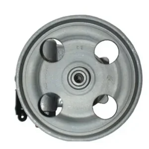 SPIDAN 54181 - Hydraulikpumpe, Lenkung Neue Ware