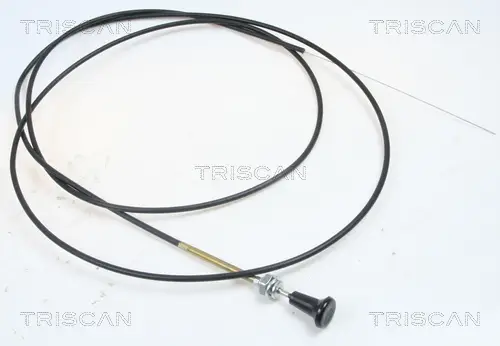 Preis Gesenkt TRISCAN 8140 91004 - Luftklappenwelle, Vergaser