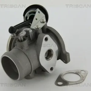 Meistverkauft TRISCAN 8813 29022 - AGR-Ventil