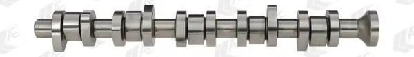 AE CAM912 - Nockenwelle Finale Aktion