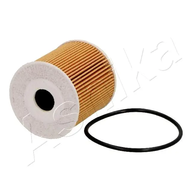 ASHIKA 10-01-195 - Ölfilter Sonderangebot