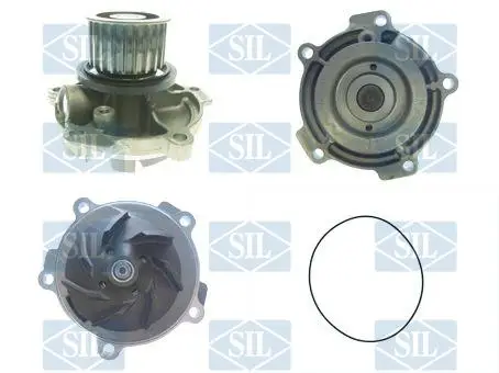 Saleri SIL PA1502 - Wasserpumpe, Motorkühlung Top-Preis