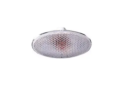 Begrenztes Angebot VAN WEZEL 5250915 - Blinkleuchte