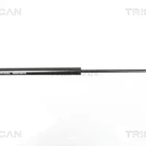 Nur Für Kurze Zeit TRISCAN 8710 16251 - Gasfeder, Heckscheibe
