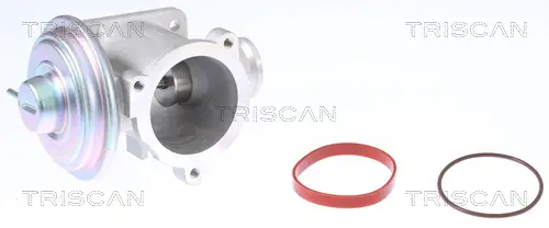 TRISCAN 8813 11003 - AGR-Ventil Echt
