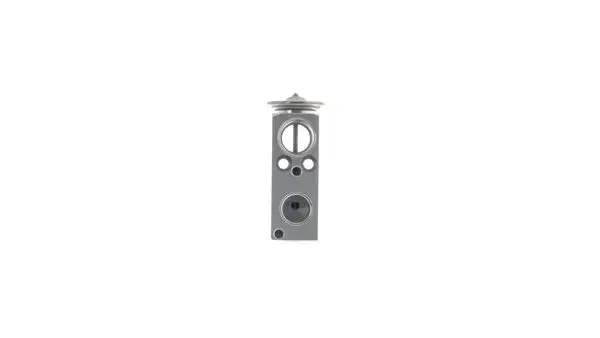 MAHLE AVE 176 000S - Expansionsventil, Klimaanlage Mega-Angebot