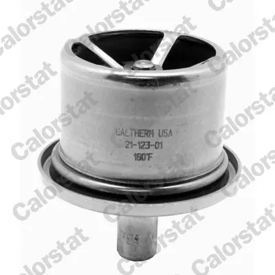 Bestseller CALORSTAT by Vernet THS19106.82 - Thermostat, Kühlmittel