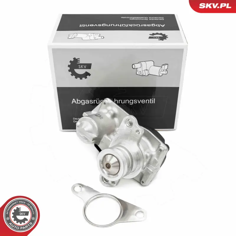 Meistverkauft ESEN SKV 14SKV267 - AGR-Ventil