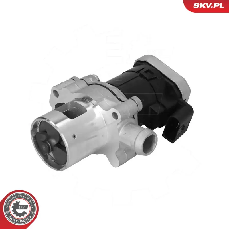 ESEN SKV 14SKV305 - AGR-Ventil Neue Ware