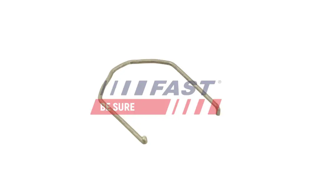 FAST FT96404 - Halteschelle, Ladeluftschlauch Saisonangebot