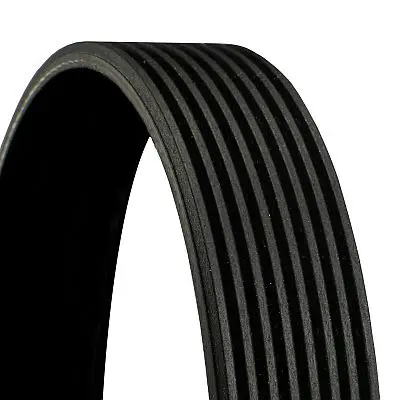 CONTINENTAL CTAM 8PK1122 EXTRA - Keilrippenriemen Beliebt