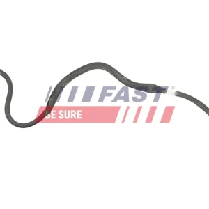 Abverkauf FAST FT10708 - Kraftstoffleitung