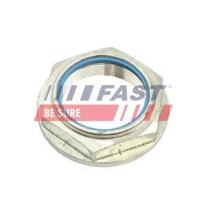 FAST FT26041 - Mutter, Achszapfen Schneller Versand