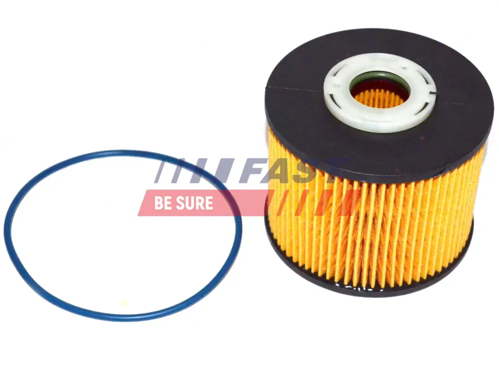 Begrenztes Angebot FAST FT39077 - Kraftstofffilter