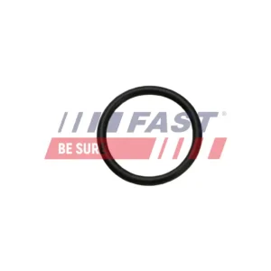 FAST FT49926 - Dichtung, Heizklappenkasten Super-Preis