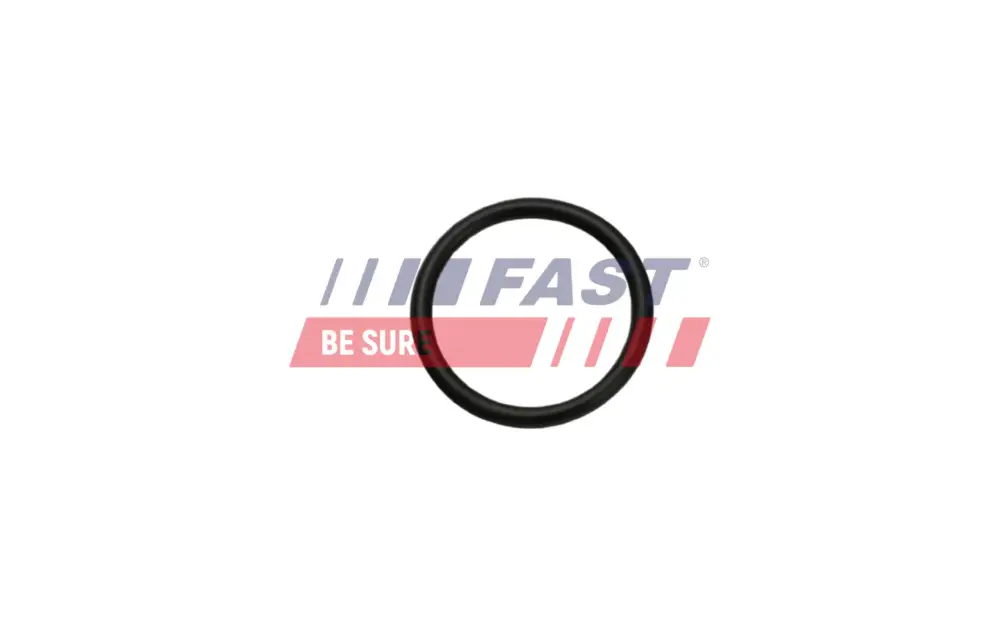 FAST FT49926 - Dichtung, Heizklappenkasten Super-Preis