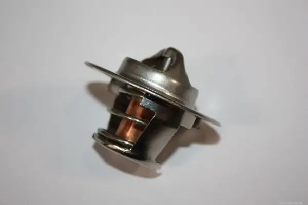 AUTOMEGA 160099810 - Thermostat, Kühlmittel Markenprodukt