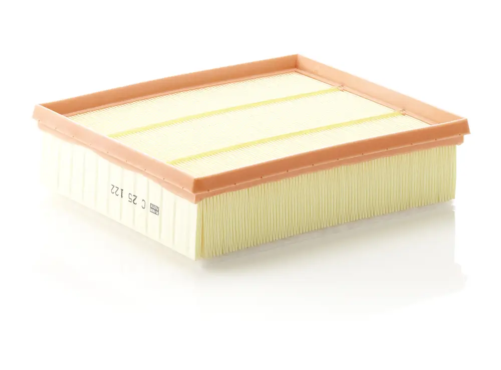 Must-Have MANN-FILTER C 25 122 - Luftfilter