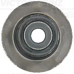 VICTOR REINZ 70-54206-00 - Dichtring, Ventilschaft Top-Preis