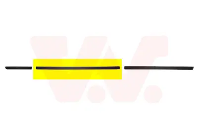 VAN WEZEL 0646424 - Zier-/Schutzleiste, Tür Online Kaufen