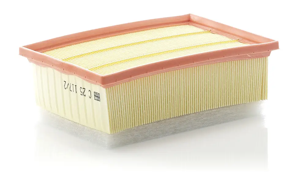 MANN-FILTER C 25 117/2 - Luftfilter Bestpreis